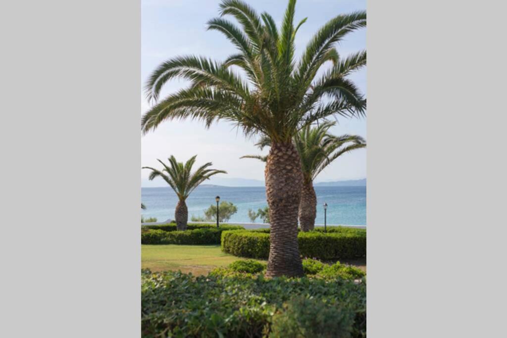 Palmaya Villa, Unique Seafront Experience Vagia  Eksteriør bilde