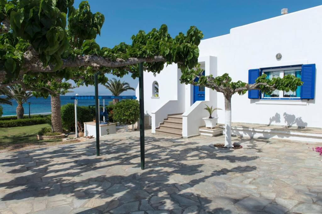 Palmaya Villa, Unique Seafront Experience Vagia  Eksteriør bilde
