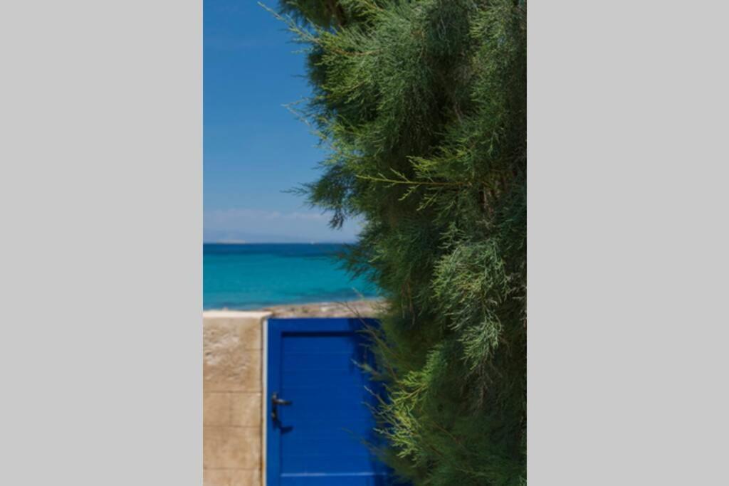 Palmaya Villa, Unique Seafront Experience Vagia  Eksteriør bilde