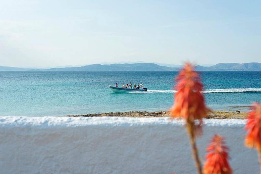 Palmaya Villa, Unique Seafront Experience Vagia  Eksteriør bilde