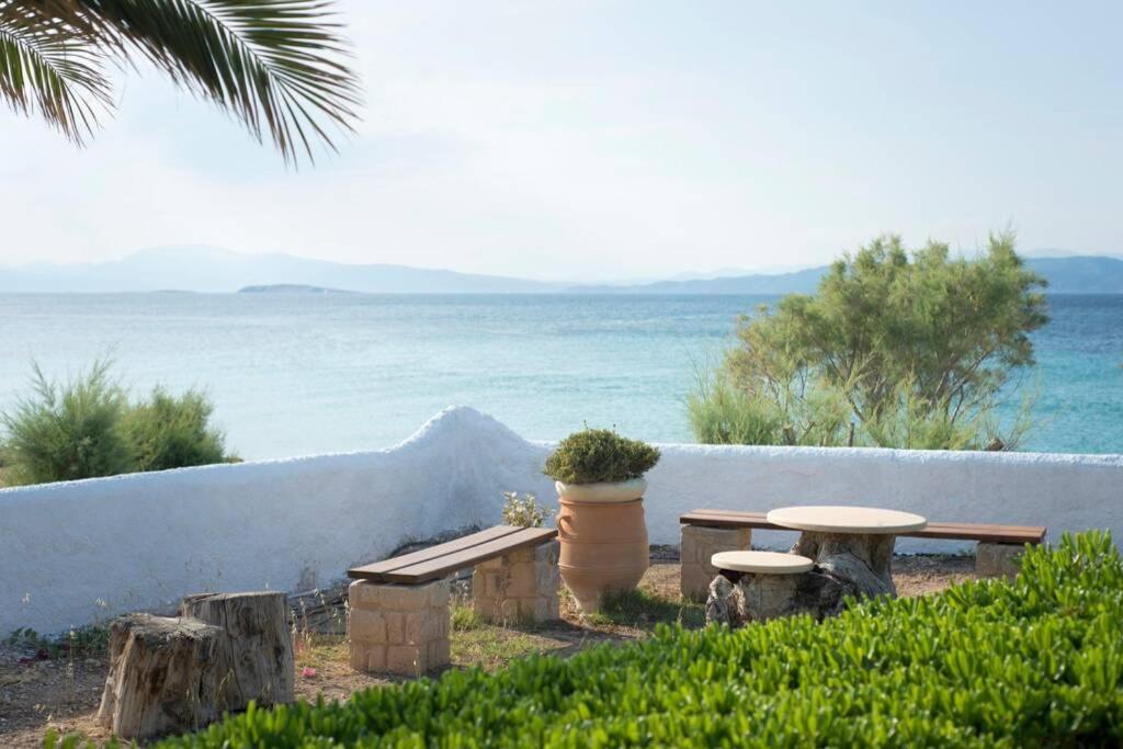 Palmaya Villa, Unique Seafront Experience Vagia  Eksteriør bilde